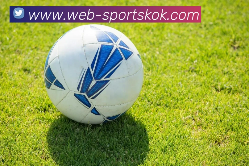 KOK体育平台生态图