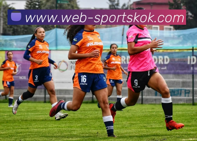 KOK体育APP 封面图